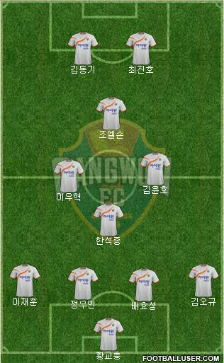 Gangwon FC Formation 2014