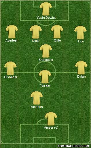 Wolverhampton Wanderers Formation 2014