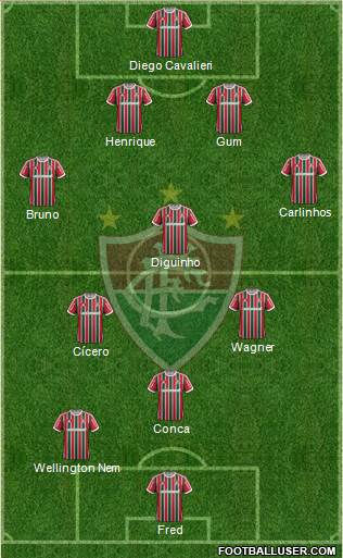 Fluminense FC Formation 2014