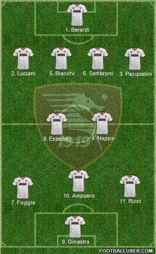 Salernitana Formation 2014