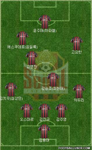 FC Seoul Formation 2014