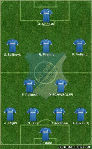 TSG 1899 Hoffenheim Formation 2014