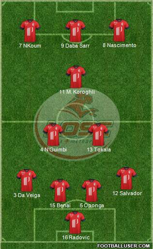 LOSC Lille Métropole Formation 2014