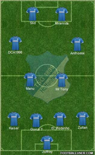 TSG 1899 Hoffenheim Formation 2014