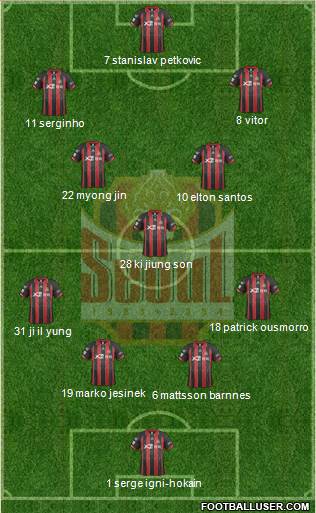 FC Seoul Formation 2014