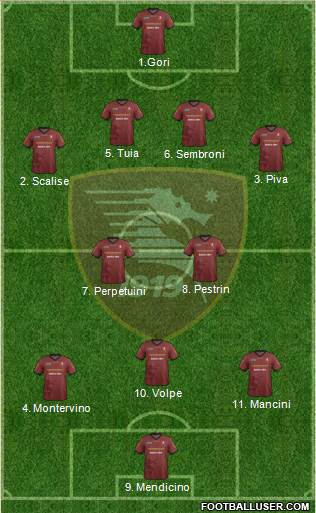 Salernitana Formation 2014