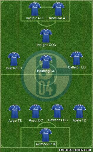 FC Schalke 04 Formation 2014