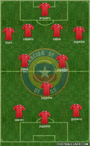 Chile Formation 2014