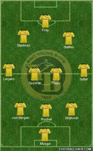 BSC Young Boys Formation 2014