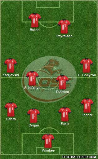 LOSC Lille Métropole Formation 2014