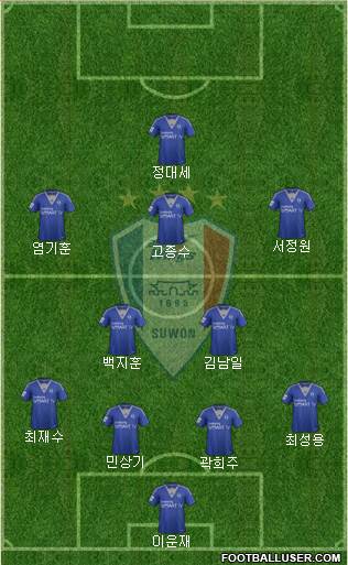 Suwon Samsung Blue Wings Formation 2014