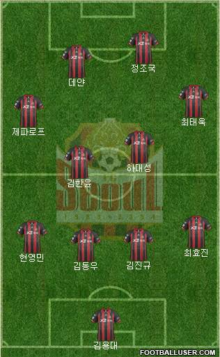 FC Seoul Formation 2014