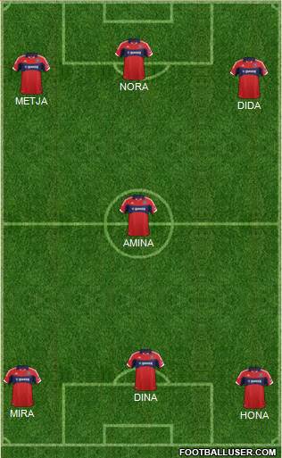 Chicago Fire Formation 2014