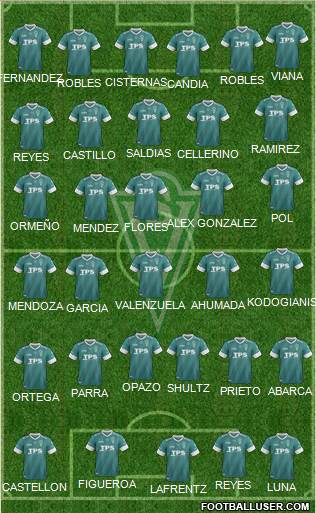 CD Santiago Wanderers S.A.D.P. Formation 2014