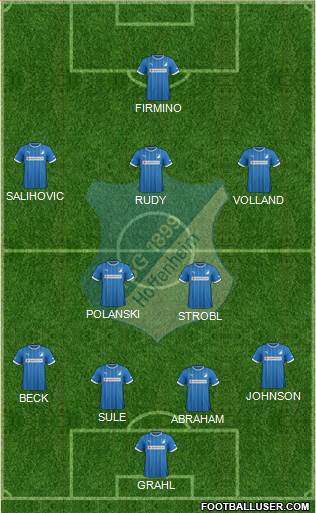 TSG 1899 Hoffenheim Formation 2014