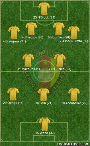 Cameroon Formation 2014