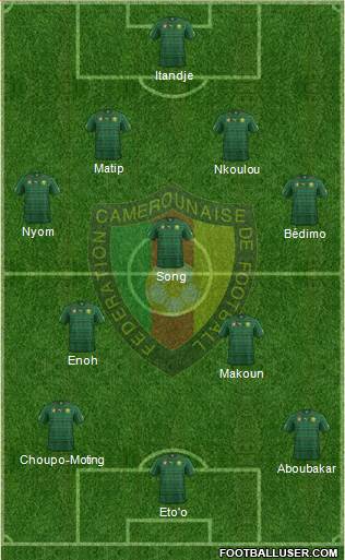 Cameroon Formation 2014