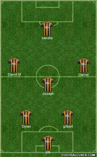 Hull City Formation 2014