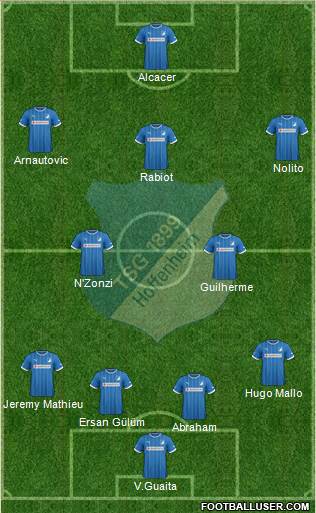 TSG 1899 Hoffenheim Formation 2014