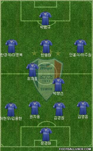 Suwon Samsung Blue Wings Formation 2014