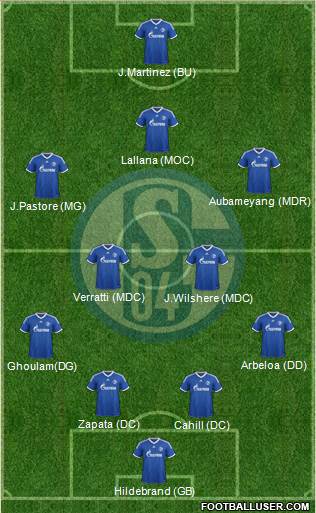 FC Schalke 04 Formation 2014