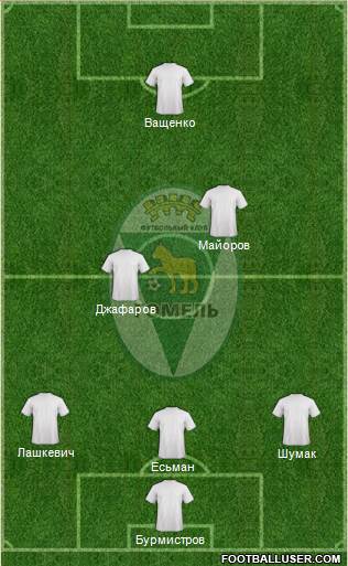 FC Gomel Formation 2014