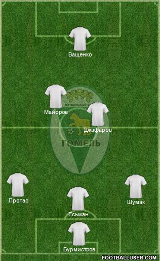 FC Gomel Formation 2014