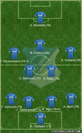 TSG 1899 Hoffenheim Formation 2014