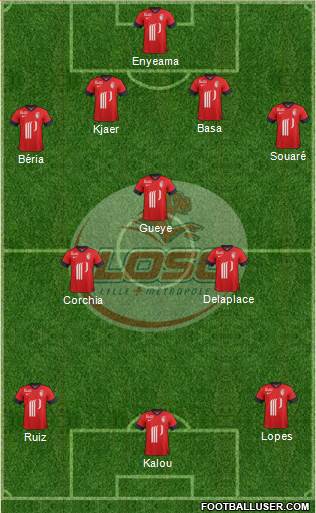 LOSC Lille Métropole Formation 2014