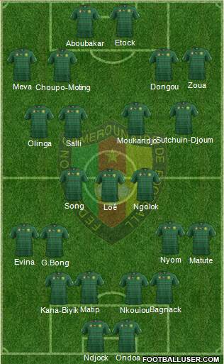 Cameroon Formation 2014