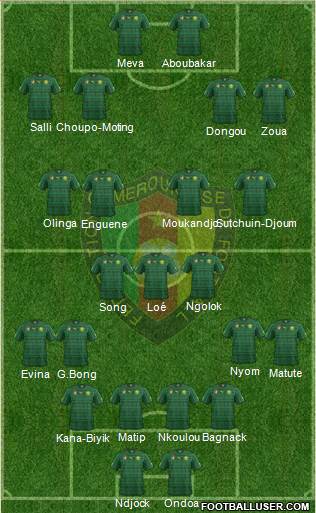 Cameroon Formation 2014