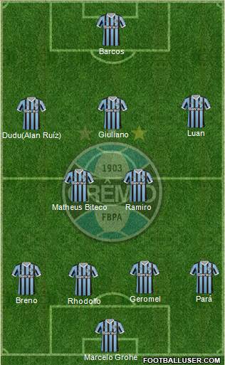 Grêmio FBPA Formation 2014