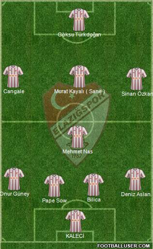 Elazigspor Formation 2014