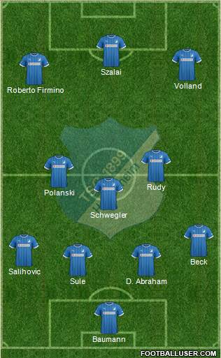 TSG 1899 Hoffenheim Formation 2014