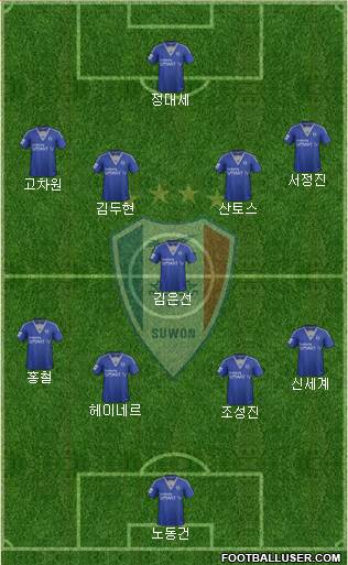 Suwon Samsung Blue Wings Formation 2014