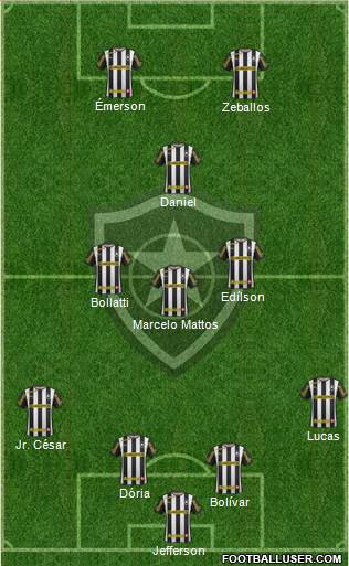 Botafogo FR Formation 2014