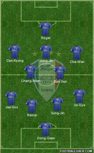 Suwon Samsung Blue Wings Formation 2014