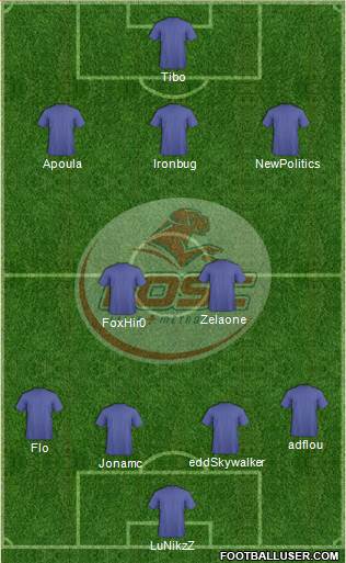 LOSC Lille Métropole Formation 2014