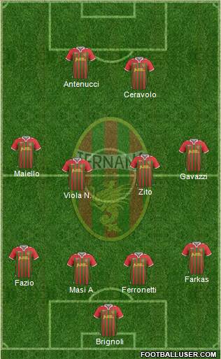 Ternana Formation 2014