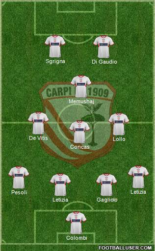 Carpi Formation 2014