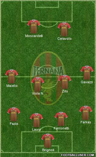 Ternana Formation 2014