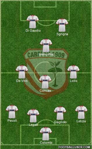 Carpi Formation 2014