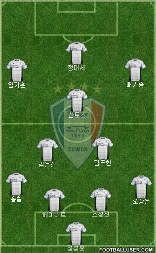 Suwon Samsung Blue Wings Formation 2014