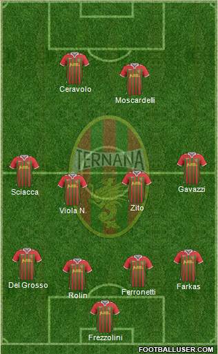 Ternana Formation 2014