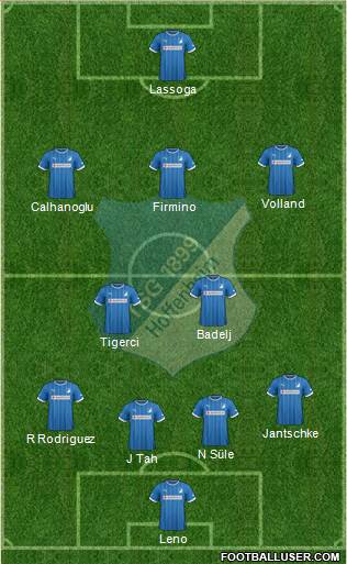 TSG 1899 Hoffenheim Formation 2014