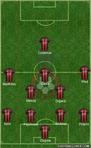 OGC Nice Côte d'Azur Formation 2014