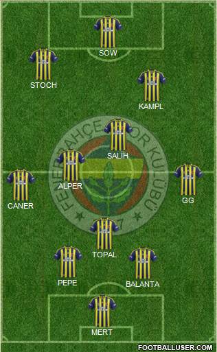 Fenerbahçe SK Formation 2014