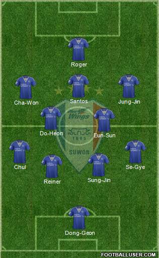 Suwon Samsung Blue Wings Formation 2014