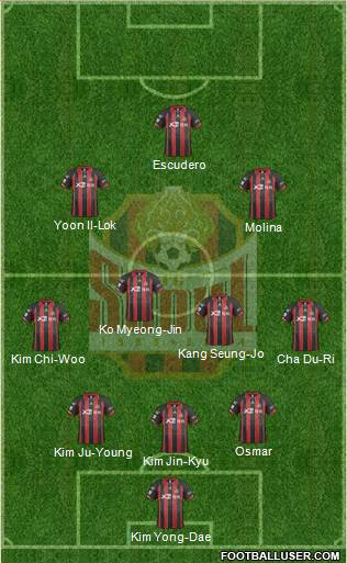 FC Seoul Formation 2014