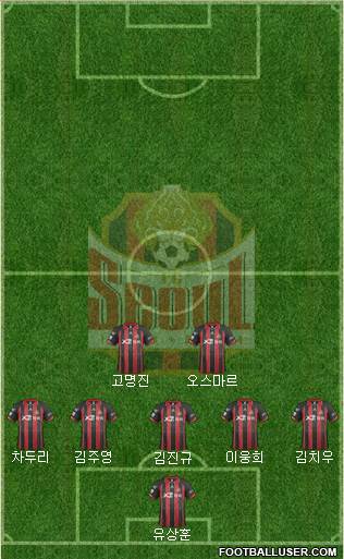 FC Seoul Formation 2014